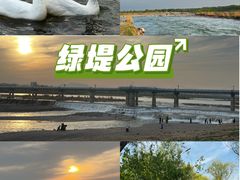 -绿堤公园