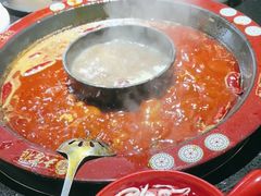 -矮板凳老火锅(宽窄巷子店)