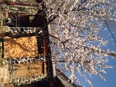 iphone_upload_pic-北京水岸山吧度假村(雁栖镇店)