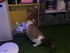 -游人馆·桌游狼人杀团建馆(人广书城店)