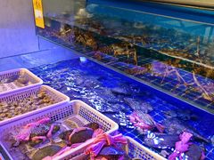 -百年银屏蚝烙·潮汕菜·非遗(乐山店)