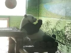 -石家庄市动物园