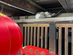 -初溪土楼群