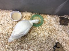 -狗道宠物(常熟印象城店)