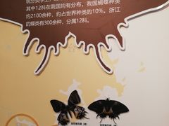 -浙江自然博物院(杭州馆)