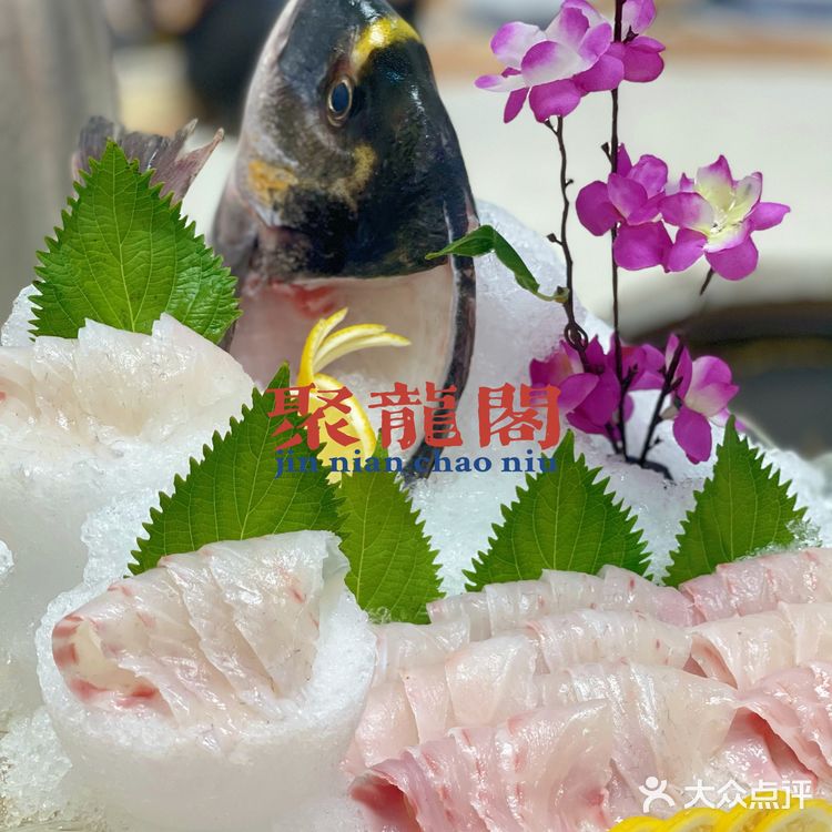 🐟无鱼生不夏天#