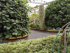-南宫五洲植物乐园