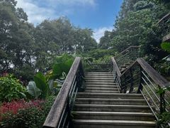 -深圳仙湖植物园