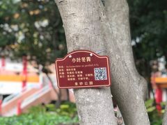 -金砂公园