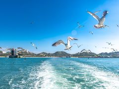 -海驴岛(荣成市)