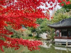 -汇龙潭