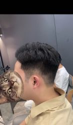 -藤野造型
