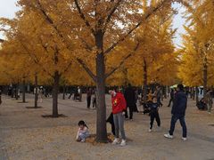 -朝阳公园游乐园