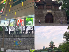 -高尔山公园