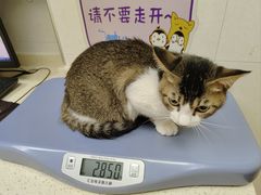 -芭比堂动物医院广州顽皮分院