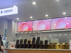 -雾与山茶(大禹城店)