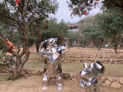 -杭州开元森泊度假乐园