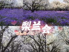 -江苏三台山国家森林公园