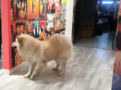 -肆兮眼镜·蔡司·徕卡战略合作店(大坪店)