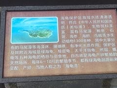-广东惠东海龟国家级自然保护区