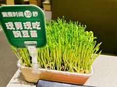 -海底捞火锅(奥森店)