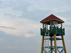 -碧海金沙