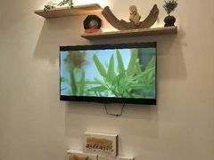 -不凡脑禅境·养生·舒压调理SPA(华发世纪城店)