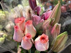 -循礼门鲜花花市(武汉循礼门店)