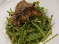 -鸭匠食府·挂炉烤鸭·新京菜(阜成路店)