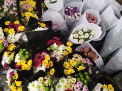 -秦美花卉(天朗·莱茵小城2期店)