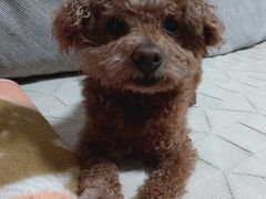 -美联众合动物医院·24h京西诊疗中心