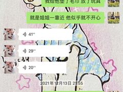 -多乐狗狗宠物训练工作室