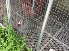-樂桃源奉贤黄桃种植采摘基地