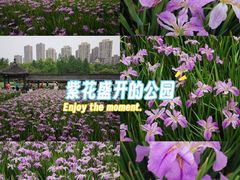 -龙头寺公园