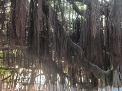-胡里山炮台