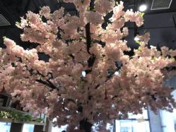 -简影造型·自选烫染接发salon