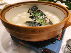 淳牌有机鱼-隆聚·时令海鲜(洪兴店)
