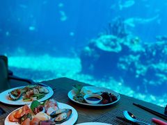 -海棠湾洲际-涛·海底餐厅·美人鱼·自助餐·海底隧道