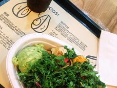 -油梨树 AVOCADO TREE(亮马桥店)