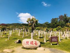 -三亚南山文化旅游区
