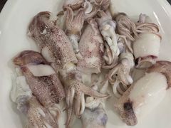 鱿鱼-长平肥姐白粥·海鲜打冷