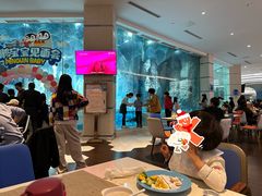 -帝企鹅自助餐厅•儿童岛•真企鹅(长隆企鹅酒店)