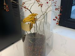 -Fridi Patisserie Cafe