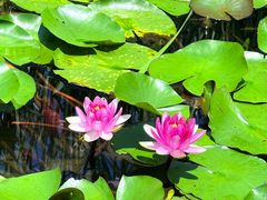 -昆山城市生态森林公园