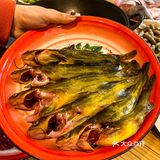 现炒底料的川味鱼火锅，涮起来那叫一个香‼️