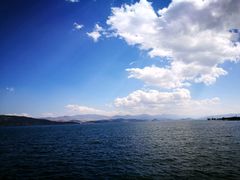 -才村湿地公园