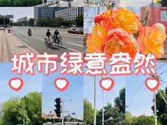 -玲珑塔公园