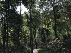-广州市帽峰山景区