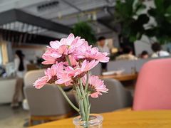 -荷恬·精致蔬食料理(富国街店)
