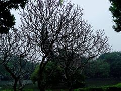 -华南师范大学(广州大学城校区)